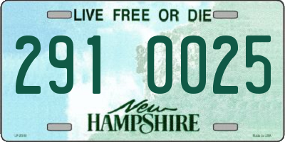 NH license plate 2910025