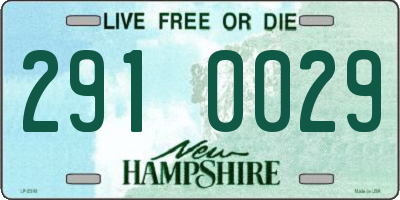 NH license plate 2910029