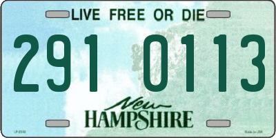 NH license plate 2910113