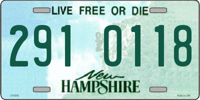 NH license plate 2910118