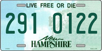 NH license plate 2910122