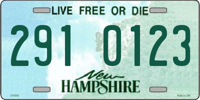 NH license plate 2910123