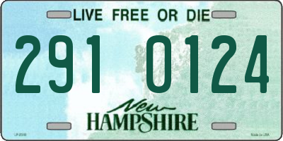 NH license plate 2910124