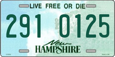 NH license plate 2910125