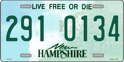 NH license plate 2910134