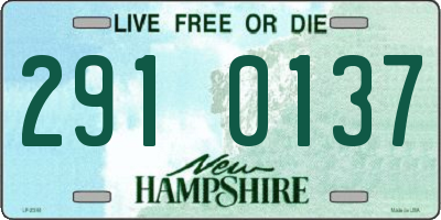 NH license plate 2910137