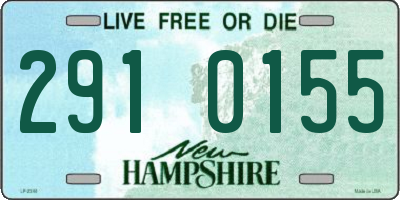 NH license plate 2910155