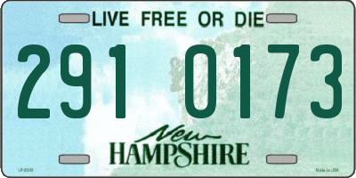 NH license plate 2910173