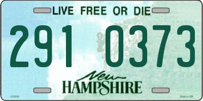 NH license plate 2910373