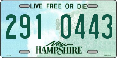 NH license plate 2910443