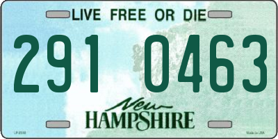 NH license plate 2910463