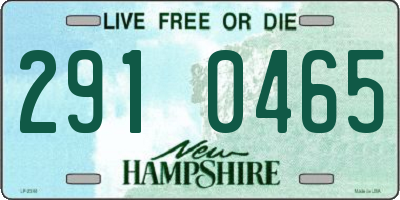 NH license plate 2910465