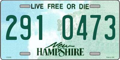 NH license plate 2910473
