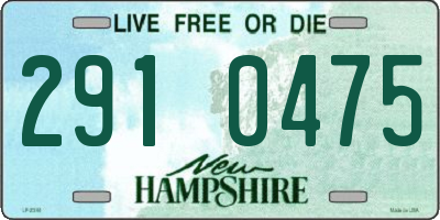 NH license plate 2910475