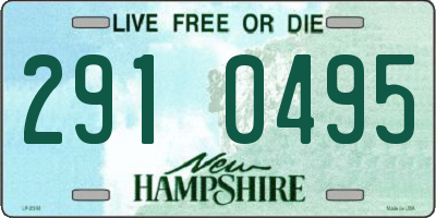 NH license plate 2910495