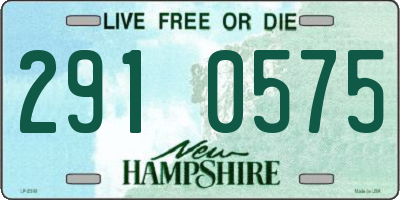 NH license plate 2910575