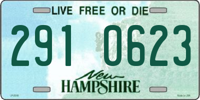 NH license plate 2910623