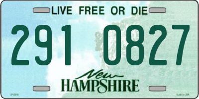 NH license plate 2910827