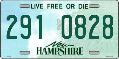 NH license plate 2910828
