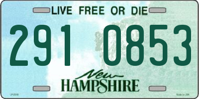 NH license plate 2910853