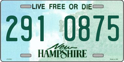 NH license plate 2910875