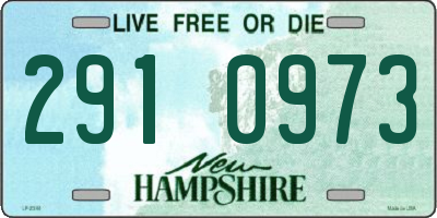 NH license plate 2910973
