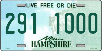 NH license plate 2911000