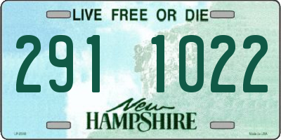 NH license plate 2911022