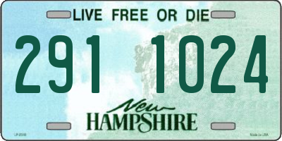NH license plate 2911024