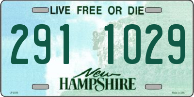 NH license plate 2911029