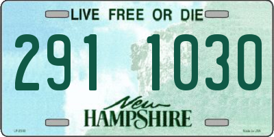 NH license plate 2911030
