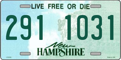 NH license plate 2911031