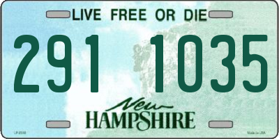 NH license plate 2911035