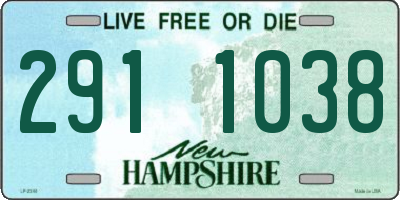 NH license plate 2911038