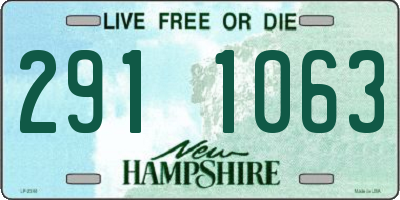 NH license plate 2911063