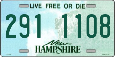 NH license plate 2911108
