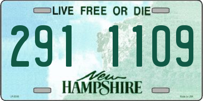 NH license plate 2911109