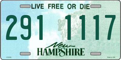 NH license plate 2911117