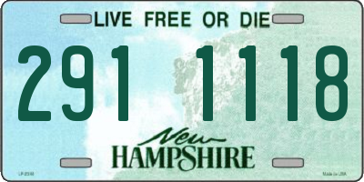 NH license plate 2911118