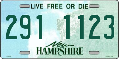 NH license plate 2911123