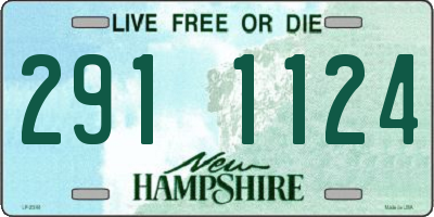 NH license plate 2911124