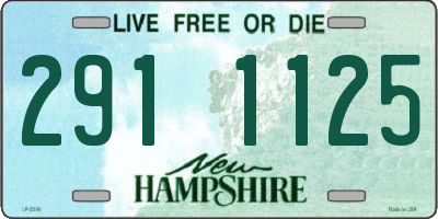 NH license plate 2911125