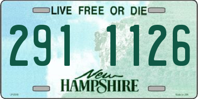 NH license plate 2911126