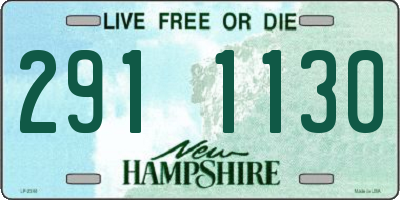 NH license plate 2911130