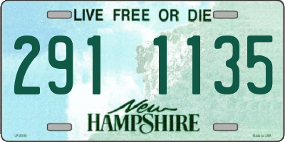 NH license plate 2911135