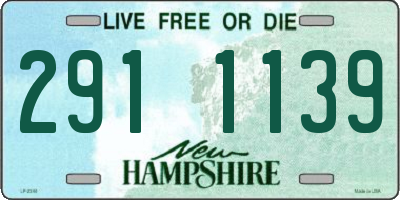 NH license plate 2911139