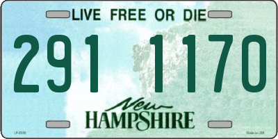 NH license plate 2911170