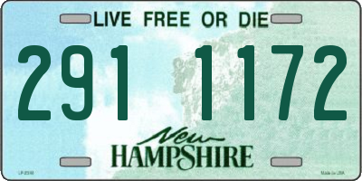 NH license plate 2911172