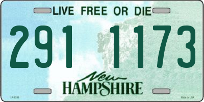 NH license plate 2911173