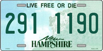NH license plate 2911190